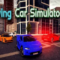 Driving Car Simulator 3D