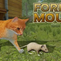 Forest Mouse