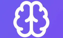 Memory Match Lite