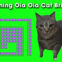 Spinning Uia Uia Cat Bricker