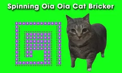 Spinning Uia Uia Cat Bricker