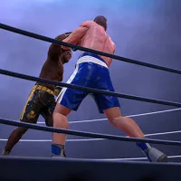 Ultimate Boxing Game