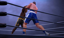 Play Ultimate Boxing Game now!
