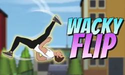 Wacky Flip