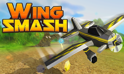 Play Wing Smash now!